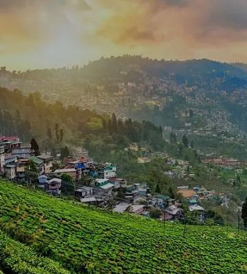 Vikas-Travels-Audi-A6